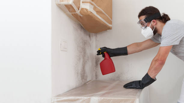 Professional Attic Mold Remediation technician working in Hawk Run, PA