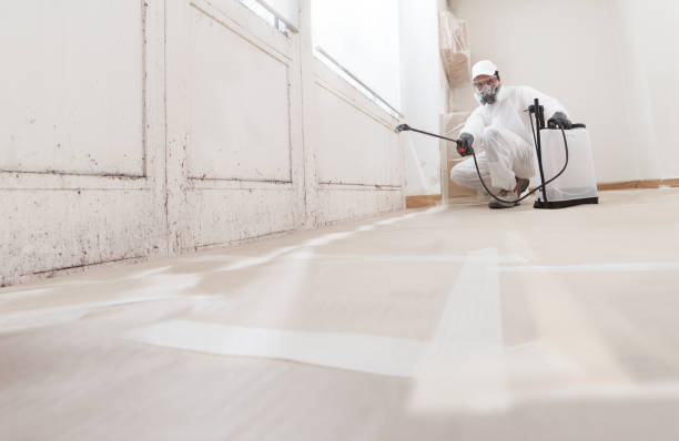 24/7 Emergency Attic Mold Remediation experts in Hawk Run, PA