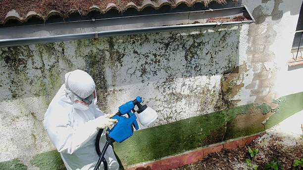 Top rated local Attic Mold Remediation specialists in Hawk Run, PA